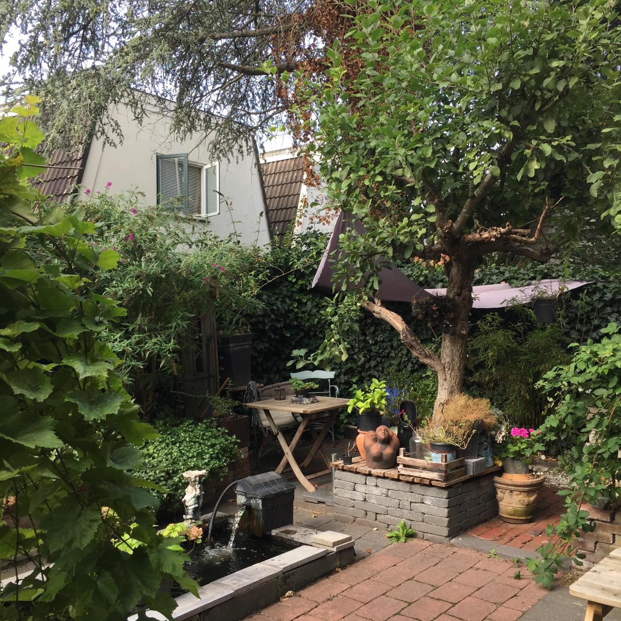 Cessinas Bed & Breakfast Groningen Eksteriør bilde